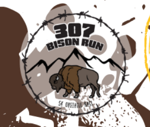 Bison Run